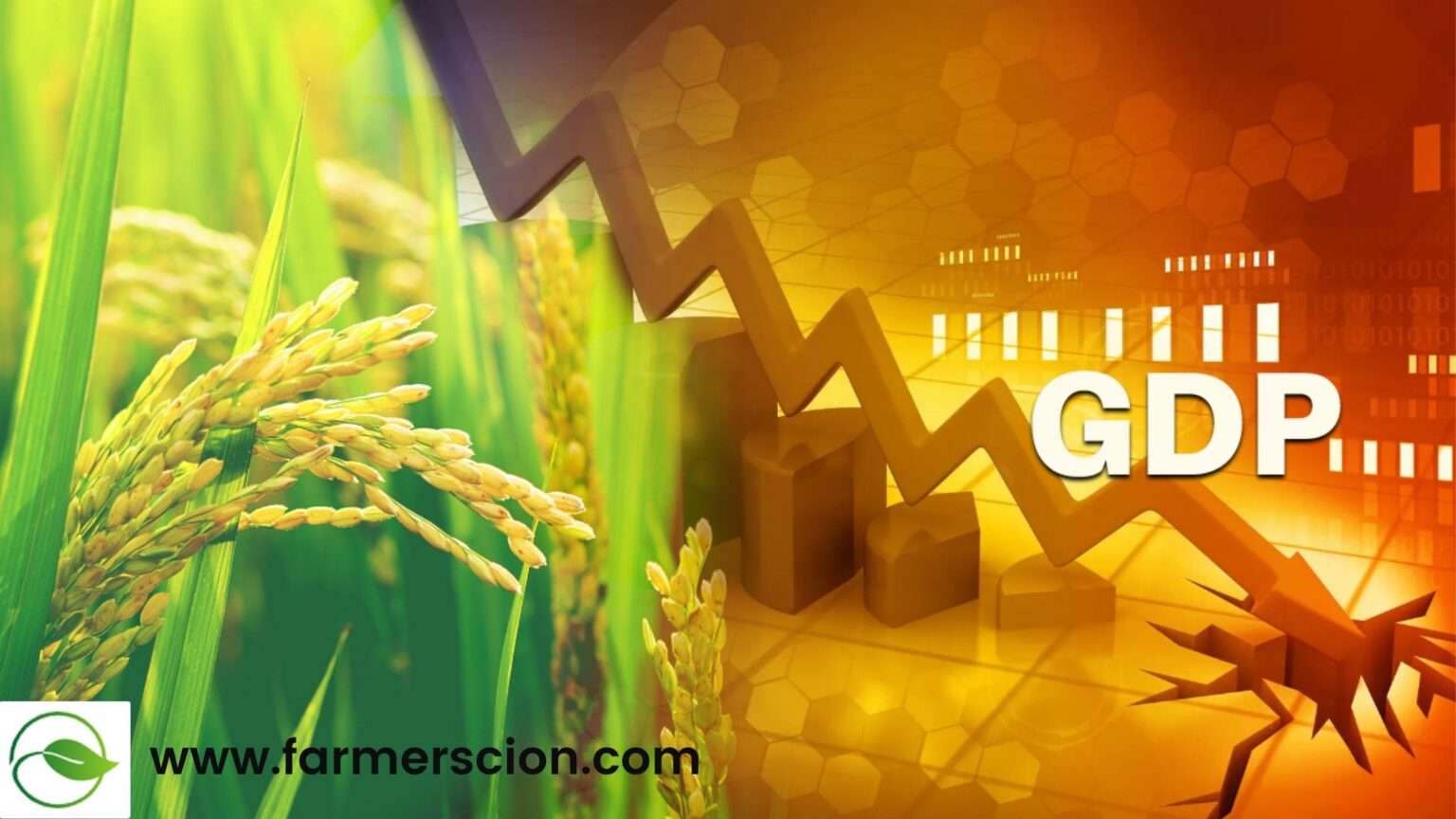 Role Of Agriculture In Indian Economy 2021 | Farmer Scion.